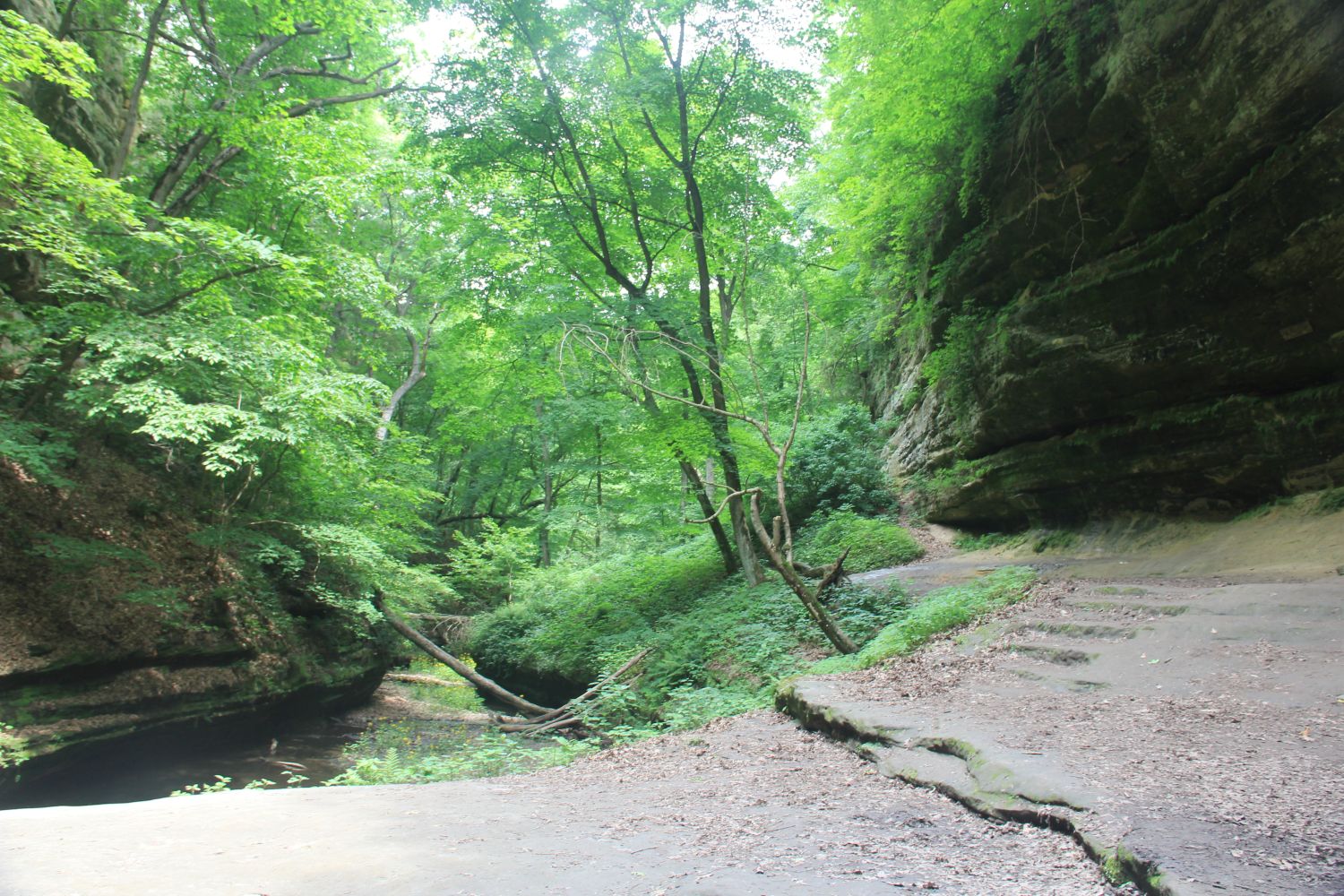 Starved Rock 